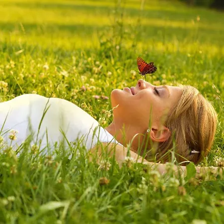 Boutique - Sun House 5* Banovci