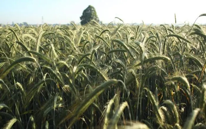 Ξενοδοχείο Boutique - Sun House 5*