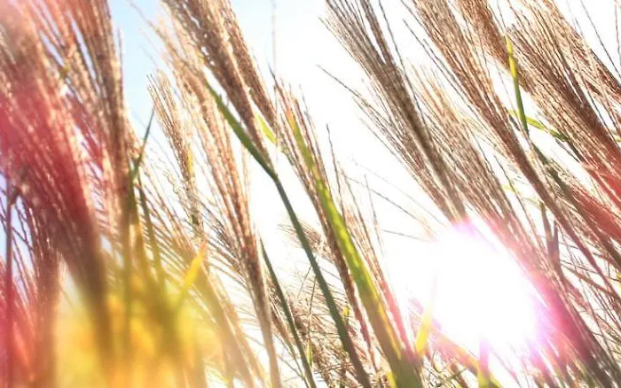 Boutique - Sun House Banovci